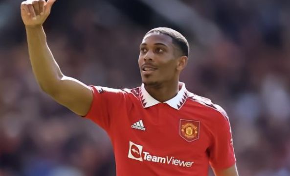 大阪樱花多 大阪樱花多